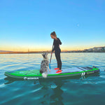 WOWSEA 12'/366cm Flyfish F2 Inflatable Stand Up Paddle Board